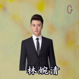 林婉清